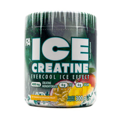 FA Nutrition Ice Creatine 4000MG.-60Serv.-300G